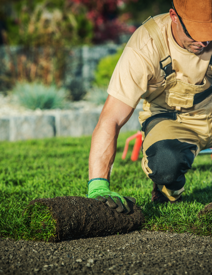 Landscaper laying sod 